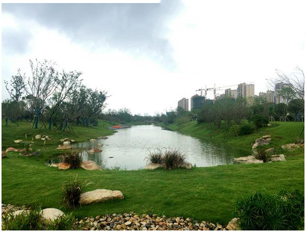 1653385366.png 4.png