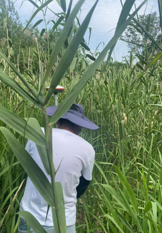 1756089601223445.png image.png